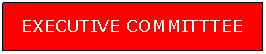 Text Box: EXECUTIVE COMMITTTEE